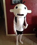 Diary of a Wimpy Kid Costume