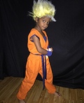 Dragon Ball Z Goku Costume