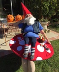 Gnome Sitting on a Toadstool Costume