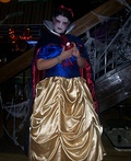 Evil Snow White Costume