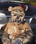 Homemade Ewok Costume for Boys | Original DIY Costumes - Photo 3/3