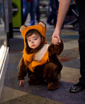 Ewok Toddler Costume