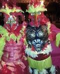 Firebirds from the Labyrinth Costume