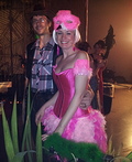 Flamingo Costume