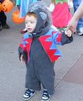 Homemade Flying Monkey costume