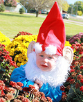 Garden Gnomes Halloween Costume Ideas For Kids 