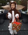 Gizmo Costume