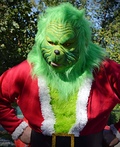 Grinch who Stole Christmas Costume
