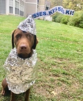 Hershey Chocolate Kiss Costume