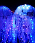 Jelly Fish Costume