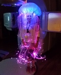 Jelly Fish Costume