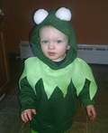 Kermit the Frog Homemade Halloween Costume - Photo 3/3