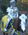 Knight in Shiny Armour Costume
