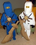 Lego Ninjago Jay & Zane Costume