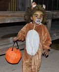 Lion Costume