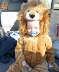 Lion Baby Costume