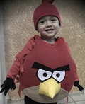 Little Angry Bird Costume