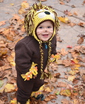 Little Lion Costume