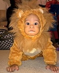 Little Lion Costume