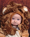 Little Lion Costume