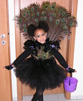 Peacock Fairy Costume