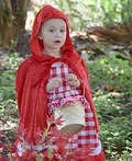 Homemade Big Bad Wolf Costume - Photo 7/7