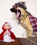 Little Red Riding Hood and The Big Bad Wolf Costume