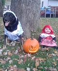 Little Red Riding Hood and the Big Bad Wolf Costume