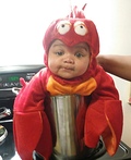 Lobster Baby Costume