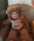 Lovable Lion Costume