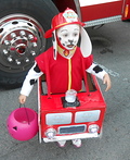 Marshall the Fire Pup from Paw Patrol Costume