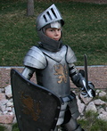 Medieval Knight Costume