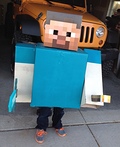 Minecraft Steve Costume Diy