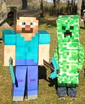 Minecraft Steve and Creeper Costume