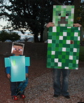 Original Minecraft Steve Costume - Photo 3/4