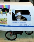 Mr. Chubby's Ice Cream Costume