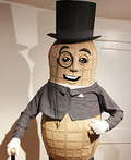 Diy Mr. Peanut Costume 