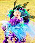 Peacock Costume