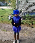 Peacock Costume