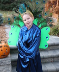 Peacock Costume