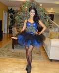 Peacock Costume