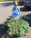 Peacock Costume