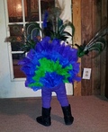 Peacock Costume