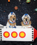 Phoenix and Gryphon the Astronauts Costume