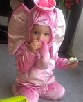 Pink Elephant Costume