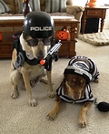 Police Dog and Prisoner Costume