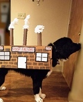 Poop Factory Costume