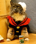 Popeye the Sailor Kitty Costume