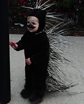 Porcupine Costume