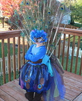 Pretty Little Peacock Costume